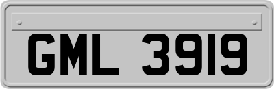 GML3919
