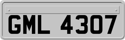 GML4307