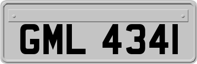 GML4341