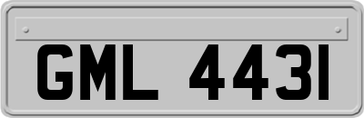 GML4431