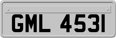 GML4531