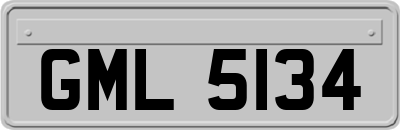 GML5134