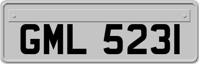 GML5231