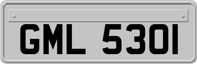 GML5301