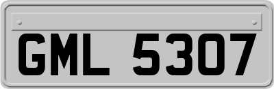 GML5307