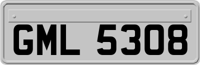 GML5308