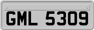 GML5309