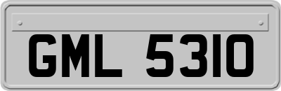 GML5310