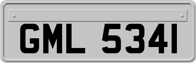 GML5341