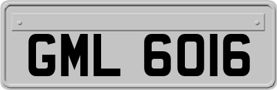 GML6016