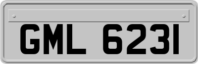 GML6231