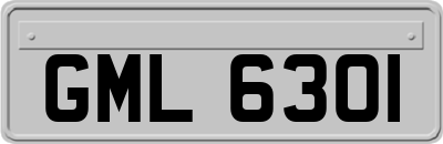GML6301