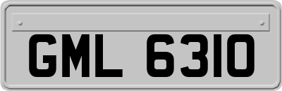 GML6310