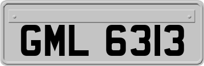 GML6313