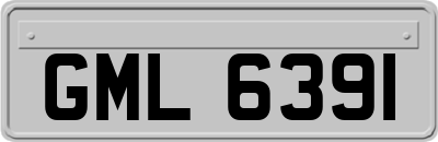 GML6391