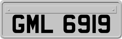 GML6919