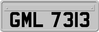 GML7313