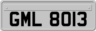 GML8013