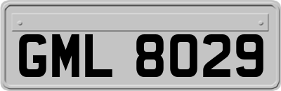 GML8029