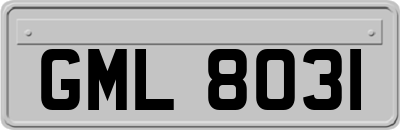 GML8031