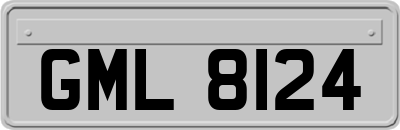 GML8124