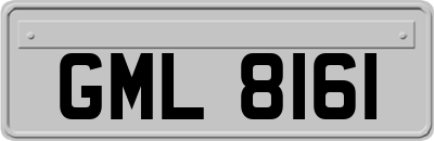 GML8161