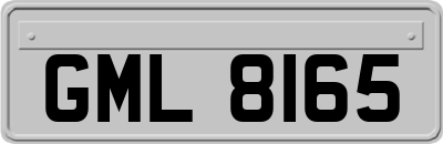 GML8165