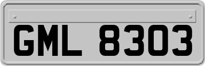 GML8303