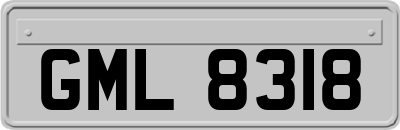 GML8318