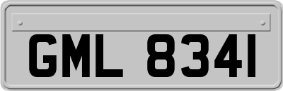 GML8341