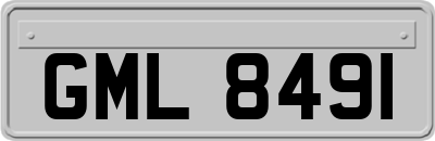GML8491