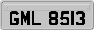 GML8513