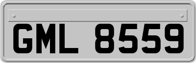 GML8559