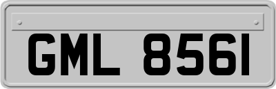 GML8561