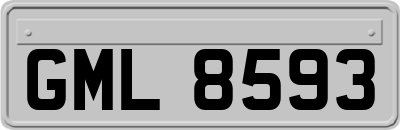 GML8593
