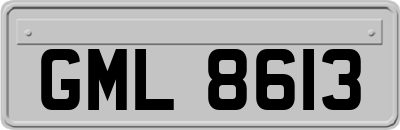 GML8613