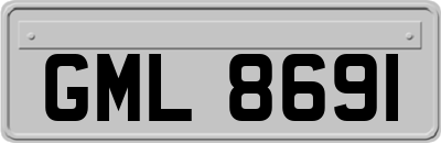 GML8691