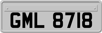 GML8718