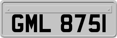 GML8751