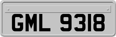 GML9318