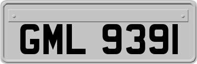 GML9391