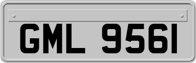 GML9561