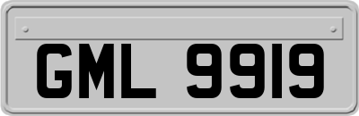 GML9919