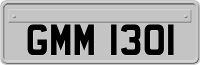 GMM1301