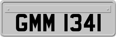 GMM1341