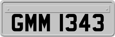GMM1343