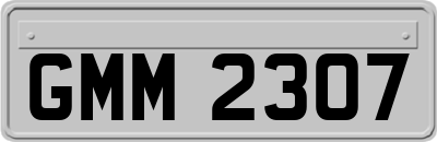 GMM2307