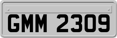 GMM2309