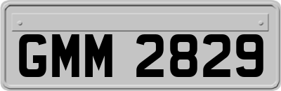 GMM2829