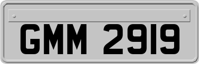 GMM2919